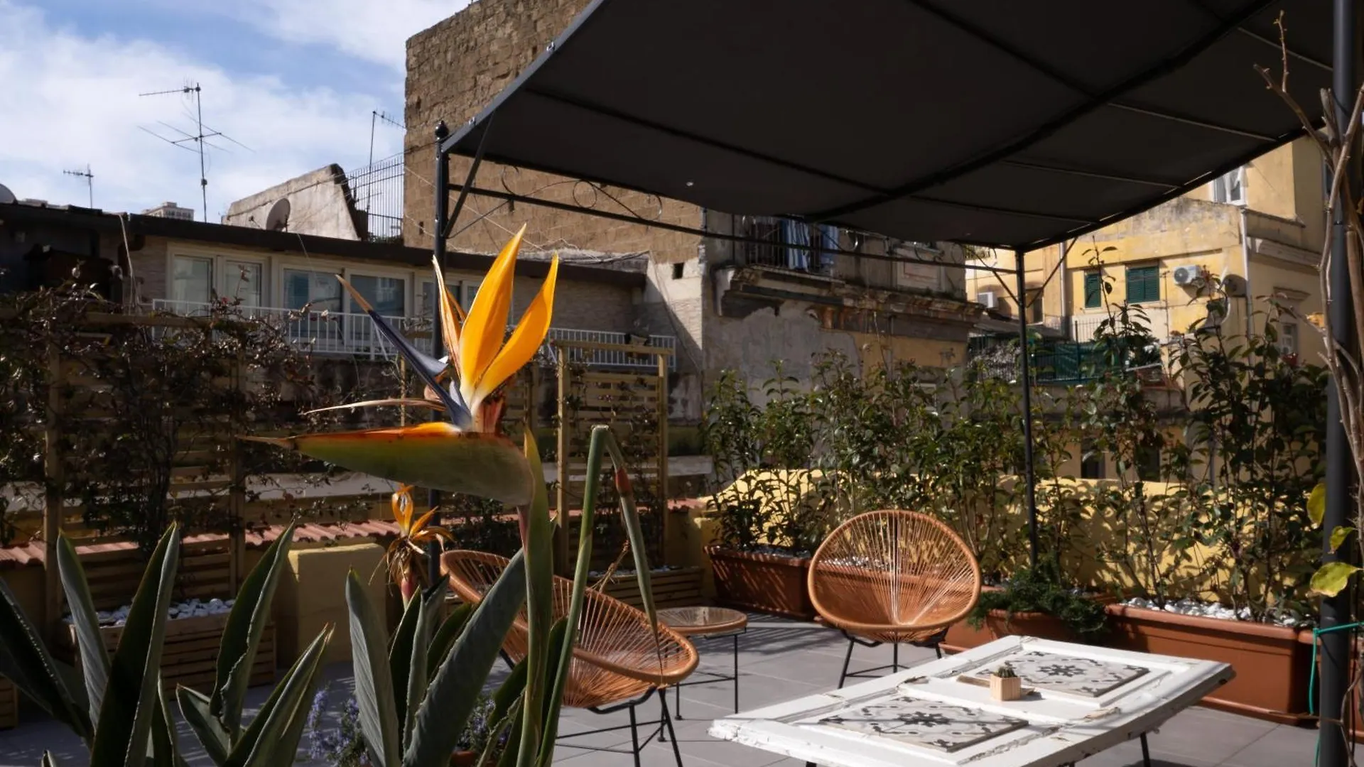 Hostel Hopestel Secret Garden Napoli Italy